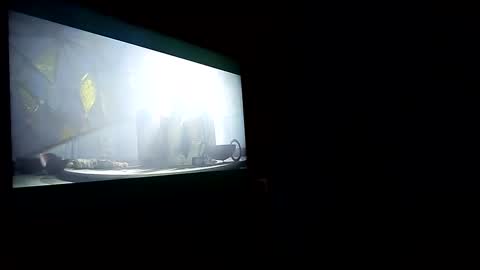 jayjay online show from February 28, 7:14 pm