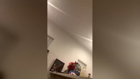 Jazzystelo online show from May 11, 7:04 am