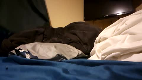 jd19852 online show from December 27, 11:31 pm