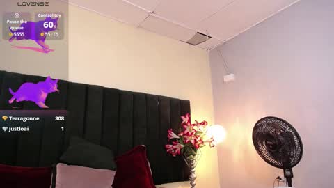 jhos online show from November 12, 5:15 pm