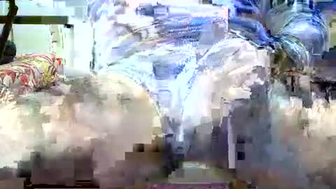 jimii281 online show from February 24, 9:51 pm