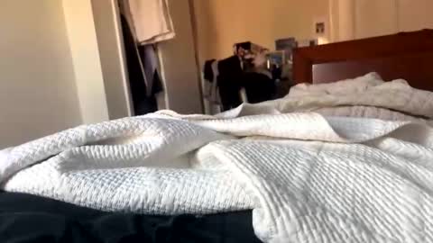 jjxx0099 online show from November 13, 1:03 pm