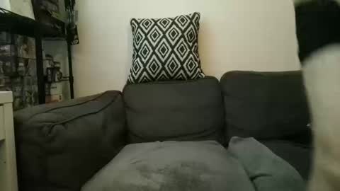 jmos20xx online show from October 17, 9:52 pm