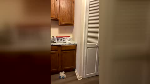 jnick513 online show from February 22, 6:10 pm