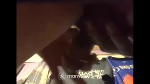 Snapshot of johnnyshung1 chatting on December 13, 7:47 am johnnyshung1 online show from December 13, 7:47 am