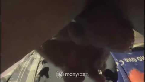 Snapshot of johnnyshung1 chatting on February 2, 1:08 pm johnnyshung1 online show from February 2, 1:08 pm