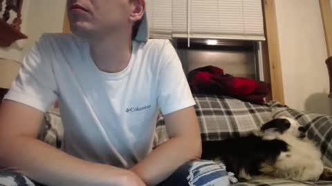 Johston online show from November 1, 12:44 am