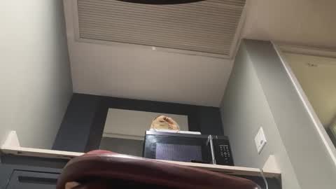 jt960059 online show from December 14, 5:57 am