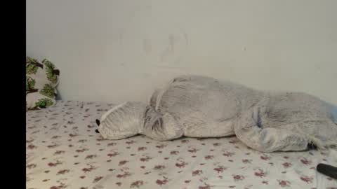 Julyana online show from November 3, 8:43 pm