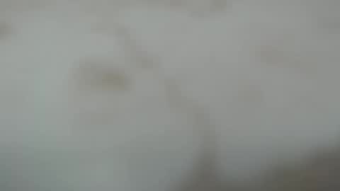 Dave online show from May 8, 12:22 pm
