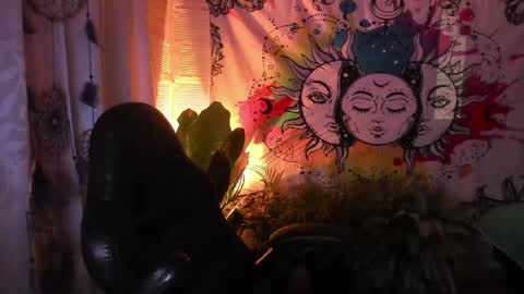 Sofia online show from February 16, 10:43 am