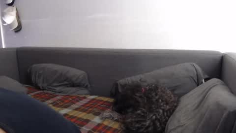 justasucker4u online show from November 20, 1:42 pm