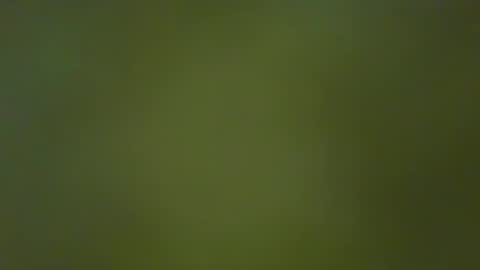 McKeefer online show from January 23, 5:10 pm