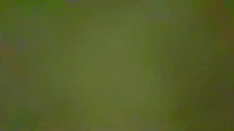 McKeefer online show from November 16, 5:59 pm