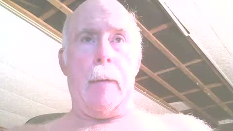 justdon online show from July 21, 2:41 pm
