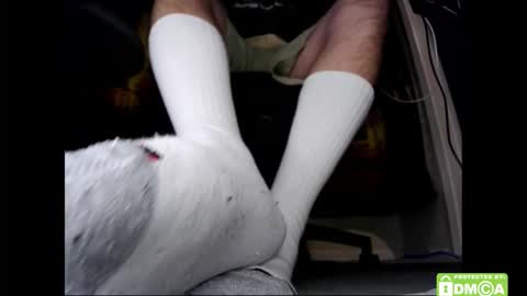 M. Dean online show from January 13, 4:20 am