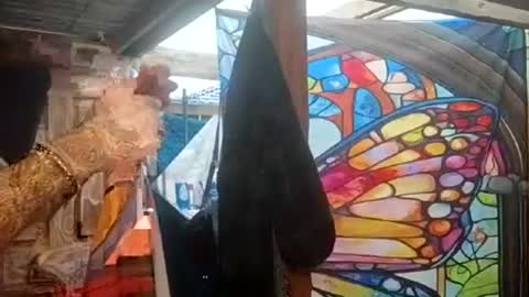 jynxamy online show from June 14, 11:18 pm