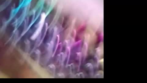 Snapshot of kabriggs137 chatting on October 21, 8:23 pm kabriggs137 online show from October 21, 8:23 pm