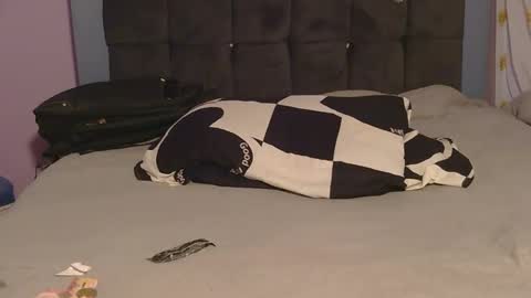 kai91799 online show from November 26, 7:38 am