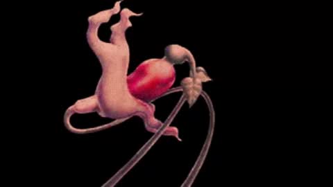 katsuro online show from November 15, 10:00 pm