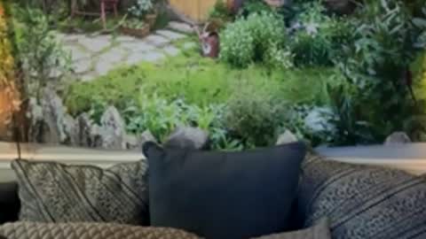 katy_chris online show from June 4, 6:19 am