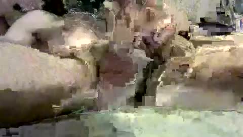 kazzarsouth online show from March 5, 2:12 pm