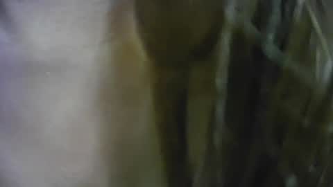 Keyla online show from June 29, 4:50 pm