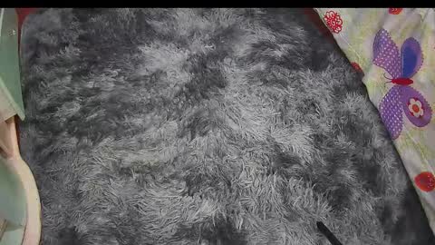 Keyla online show from February 21, 6:27 am