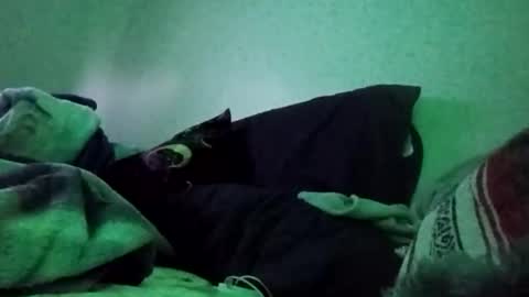 khvvkikgeyks online show from March 14, 9:52 pm