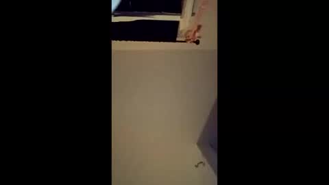 khvvkikgeyks online show from March 26, 2:39 am