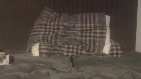 kiki3526 online show from December 5, 8:35 am