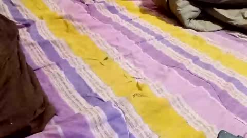 kingbat30 online show from March 2, 12:42 am