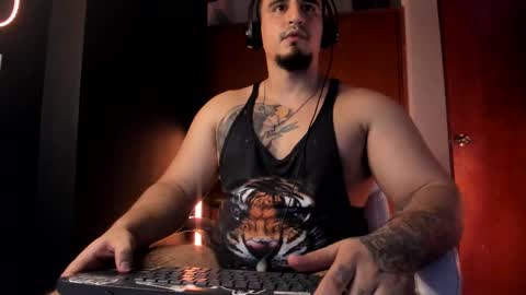 King Bear online show from February 21, 6:38 am