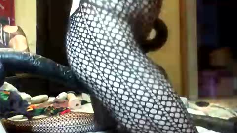 Josh online show from February 15, 5:44 pm