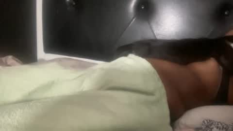 Bunniii online show from February 3, 5:40 am