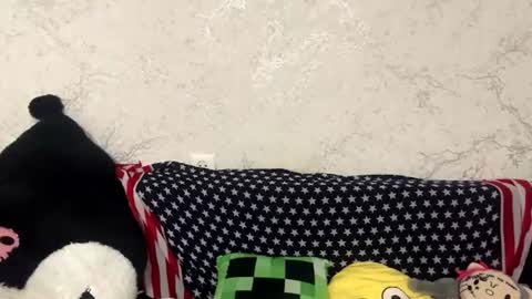 Hina online show from June 9, 4:06 pm