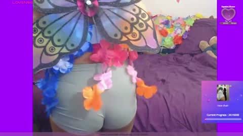 kitten online show from May 10, 12:50 am