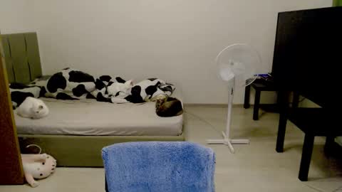 Jennyblonde and Emmabrunette online show from November 24, 4:38 pm