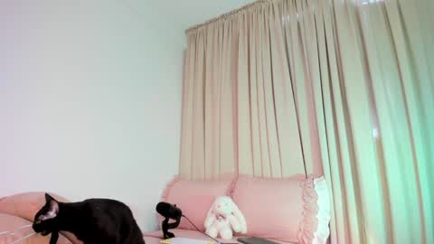 Snapshot of kitty__sophie chatting on October 15, 2:29 pm sophie online show from October 15, 2:29 pm