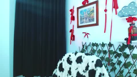 kitty_vaal online show from January 3, 3:49 am