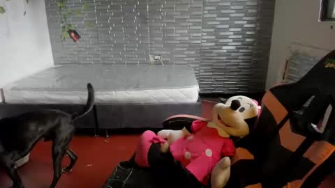 Snapshot of kitty_violet_ chatting on September 23, 7:20 pm violet online show from September 23, 7:20 pm