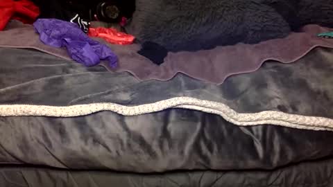 Kitty Sub online show from November 27, 3:58 am