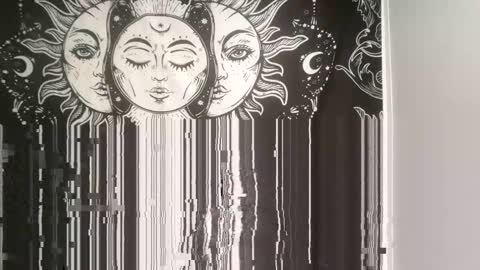 Kitty online show from January 16, 2:30 am