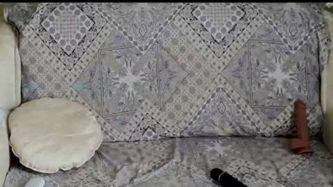 ALYONA online show from July 27, 2:53 am