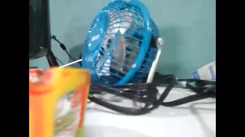 Koto Bombon online show from December 31, 3:01 am