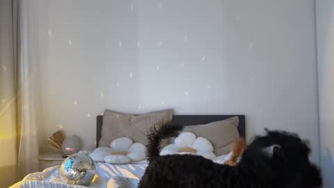 Kristy Nip slip shady  Best model on CB  online show from March 31, 4:40 pm