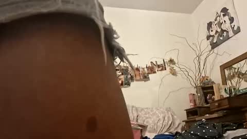lacybell online show from June 8, 8:48 am