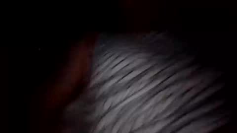 Lamacua69 online show from September 29, 10:20 pm