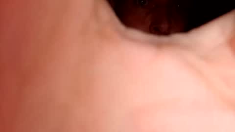 Lamacua69 online show from March 10, 3:00 am