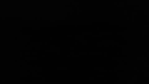 larry77733217 online show from February 4, 2:39 am